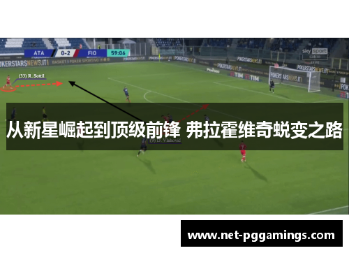 从新星崛起到顶级前锋 弗拉霍维奇蜕变之路