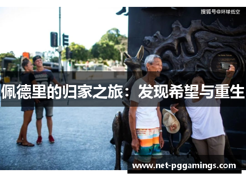 佩德里的归家之旅：发现希望与重生