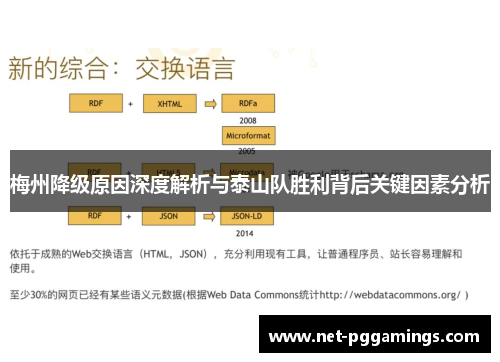梅州降级原因深度解析与泰山队胜利背后关键因素分析