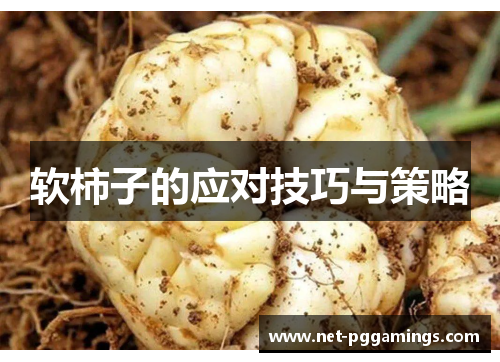 软柿子的应对技巧与策略