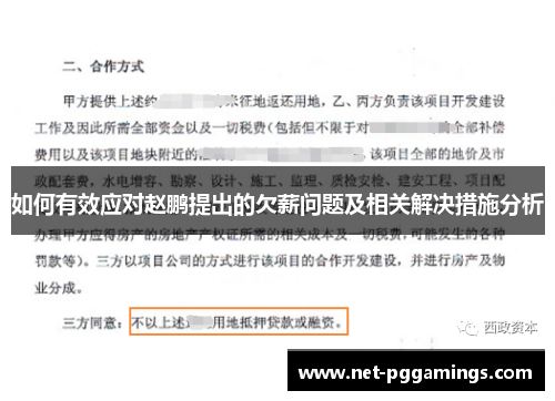 如何有效应对赵鹏提出的欠薪问题及相关解决措施分析