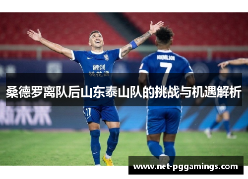 桑德罗离队后山东泰山队的挑战与机遇解析