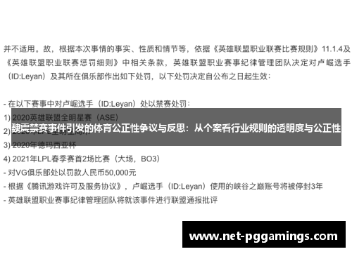 魏震禁赛事件引发的体育公正性争议与反思：从个案看行业规则的透明度与公正性