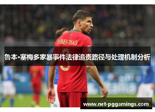 鲁本·塞梅多家暴事件法律追责路径与处理机制分析