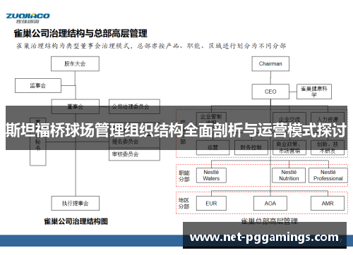 斯坦福桥球场管理组织结构全面剖析与运营模式探讨