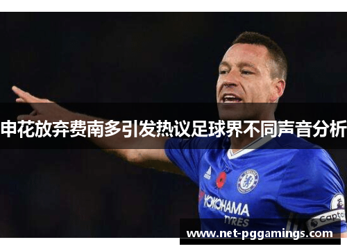 申花放弃费南多引发热议足球界不同声音分析