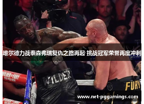 维尔德力战泰森弗瑞复仇之路再起 挑战冠军荣誉再度冲刺