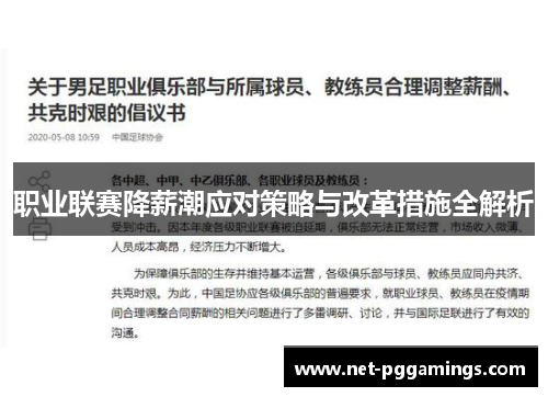 职业联赛降薪潮应对策略与改革措施全解析